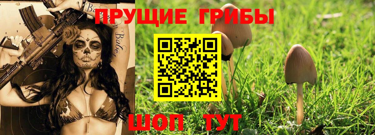 Псилоцибиновые грибы GOLDEN TEACHER Королёв