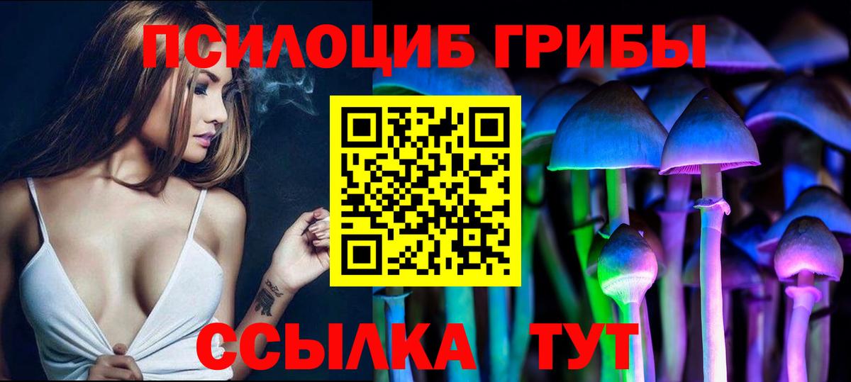 Псилоцибиновые грибы мицелий  Вход с VPN  Королёв  Галлюциногенные грибы Psilocybine cubensis 