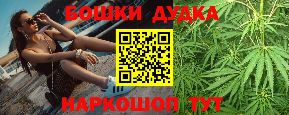 Бошки Шишки планчик Королёв